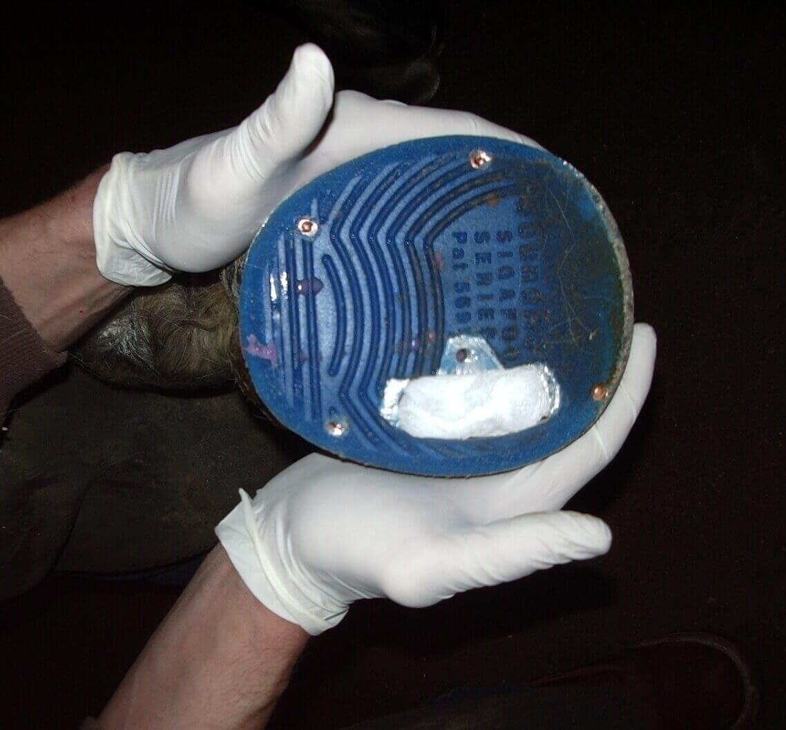 Advanced Maggot Therapy Dressings For Horses & Other Animals Monarch Labs